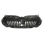 Grille de radiateur BLIC 6502-07-7531991P