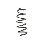 Chassisveer Enkele veer ERL (OE-vervanging origineel) EIBACH R10255
