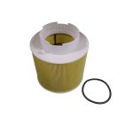 Luftfilter BLUE PRINT ADV182253