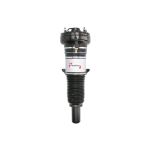 Fahrwerkssatz, Federn/Dämpfer MAGNUM TECHNOLOGY SAG005MT
