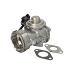 AGR Ventil BORG WARNER 7650D