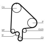 Set di cinghie di distribuzione CONTINENTAL CT871K2