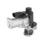 EGR-klep BORG WARNER A2810074575V1