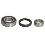 Radlagersatz BTA H28029BTA
