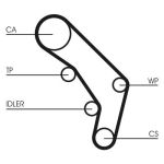 Set di cinghie di distribuzione CONTINENTAL CT755K1