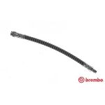 Remleiding BREMBO T 56 146