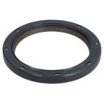 Wellendichtring, Kurbelwelle REINZ 81-36232-00