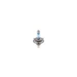 Glühlampe, Hauptscheinwerfer Ultra White DBL BOSCH 1 987 301 440, 2 Stück