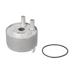 Ölkühler, Motoröl THERMOTEC D41002TT
