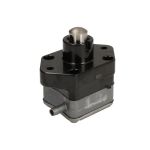 Kraftstoffpumpe PARSUN F115-05040000