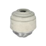 Soporte del motor REINHOCH RH11-3171