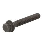 Riemenscheibenschraube SASIC 8706028