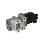 AGR Ventil NRF 48675