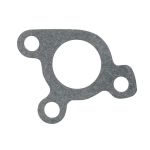 Junta, bomba de água FP DIESEL R100569-FP