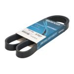 Cinghia poly-V DAYCO 6PK1196H