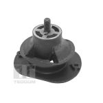 Support moteur TEDGUM TED40521
