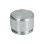 Zuiger, remklauwcilinder AUTOFREN SEINSA D0-25578