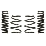 Kit de suspension, ressorts Pro-Kit EIBACH E10-20-031-14-22