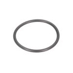 Guarnizione O-ring (48,7*3,55) per martinetto EVERT ZL207101025