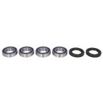 Kit de roulements de roue ALL BALLS AB25-1592