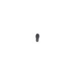 Gicleur, injection BOSCH F 00N 210 441