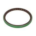 Wellendichtring, Kurbelwelle REINZ 81-53299-00