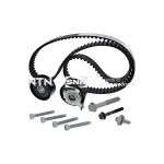 Kleptimingset (riem + poelie) SNR KD465.07
