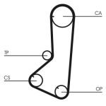 Distributieriemset CONTINENTAL CT801K1