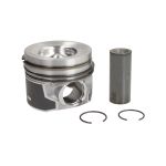 Piston MAHLE 013 PI 00155 001