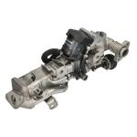 Kühler, Abgasrückführung BORG WARNER 792001D
