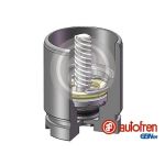 Zuiger, remklauw AUTOFREN SEINSA D025441LK