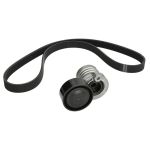 Keilrippenriemensatz SKF VKMA 36156