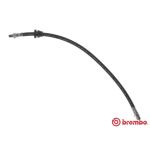 Bromsslang BREMBO T 86 017