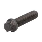 Tornillo de corona para carcasa de diferencial EURORICAMBI 56170741