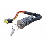 Zünd-/Startschalter VEMO V46-80-0050