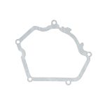 Junta de tapa de generador WINDEROSA W817675