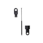Gasfeder, Koffer-/Laderaum STABILUS STA085014