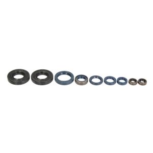 Kit de juntas do motor ATHENA P400090400060