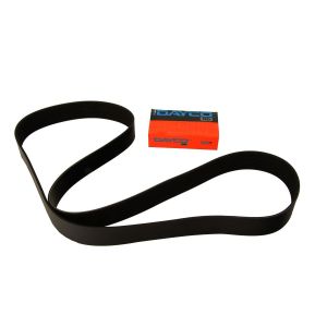 V-riem DAYCO 12PK1814HD