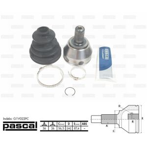 Kit di giunti, albero motore PASCAL G1V022PC