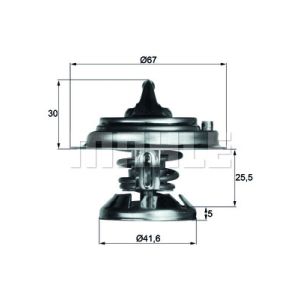 Thermostat, Kühlmittel BEHR TX 29 80D