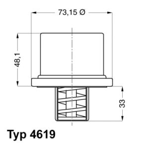 Termostaatti, jäähdytysneste WAHLER 4619.75