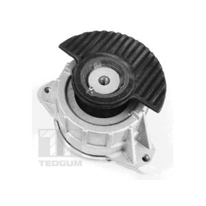 Supporto motore TEDGUM 00418476