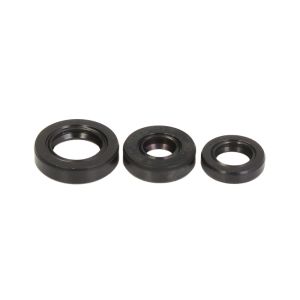 Kit de juntas do motor ATHENA P400250400006