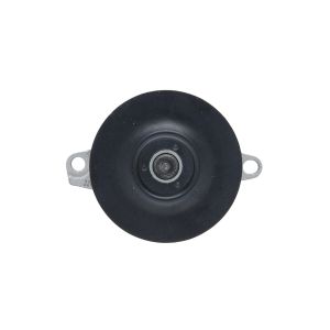 Pompe à eau VALEO 529707
