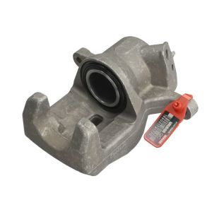 Jarrusatula LAUBER 77.5754