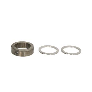 Componente, bomba de distribuição DELPHI 7189-100CW-12B1