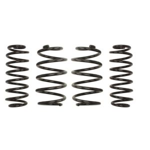 Kit de suspensão, molas EIBACH Pro-Kit E10-79-006-09-22