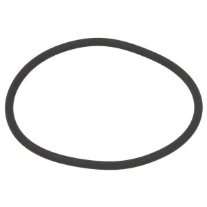 Rubber O-ringen LEMA LE123195