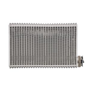 Evaporador, ar condicionado AKS DASIS 442021N